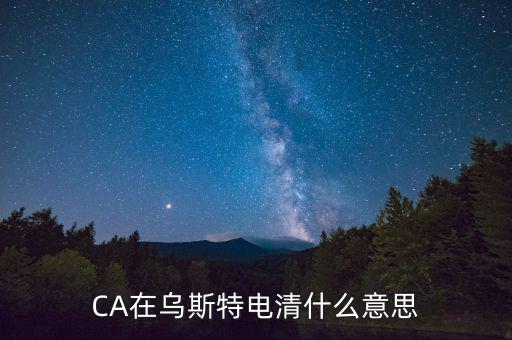 CA在烏斯特電清什么意思