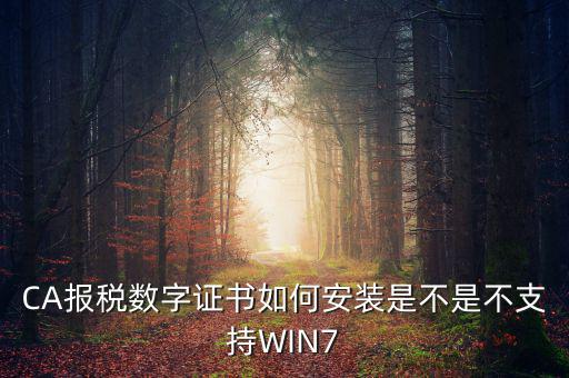 CA報(bào)稅數(shù)字證書如何安裝是不是不支持WIN7