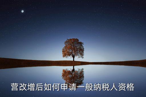 營改增后如何申請(qǐng)一般納稅人資格