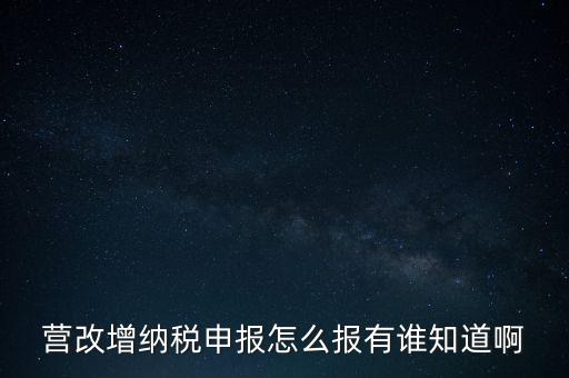 營改增納稅申報(bào)怎么報(bào)有誰知道啊