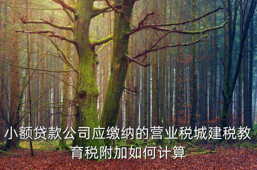 小額貸款公司如何繳稅，小額貸款公司的營業(yè)稅怎么算 sitewenwensosocom