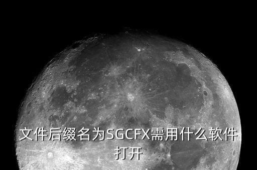 稅收調(diào)查用什么程序打開，文件后綴名為SGCFX需用什么軟件打開