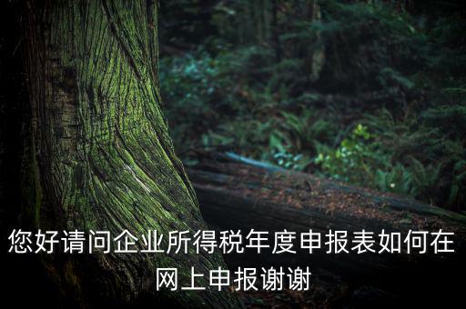 您好請問企業(yè)所得稅年度申報(bào)表如何在網(wǎng)上申報(bào)謝謝