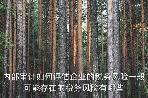 內(nèi)部審計(jì)如何評(píng)估企業(yè)的稅務(wù)風(fēng)險(xiǎn)一般可能存在的稅務(wù)風(fēng)險(xiǎn)有哪些