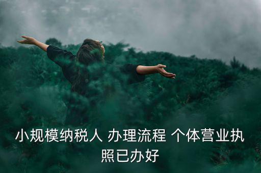 小規(guī)模納稅人 辦理流程 個(gè)體營業(yè)執(zhí)照已辦好