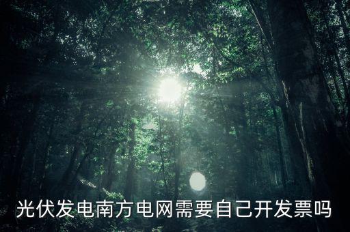 光伏發(fā)電南方電網(wǎng)需要自己開(kāi)發(fā)票嗎