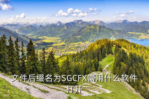 文件后綴名為SGCFX需用什么軟件打開