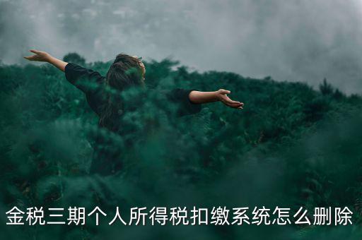 金稅三期個人所得稅扣繳系統(tǒng)怎么刪除