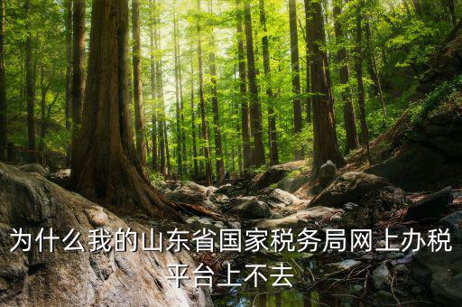 為什么我的山東省國家稅務(wù)局網(wǎng)上辦稅平臺(tái)上不去