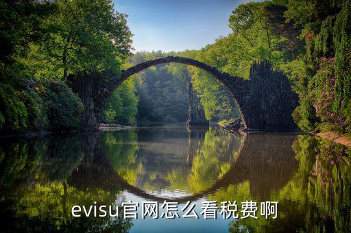 evisu官網(wǎng)怎么看稅費啊