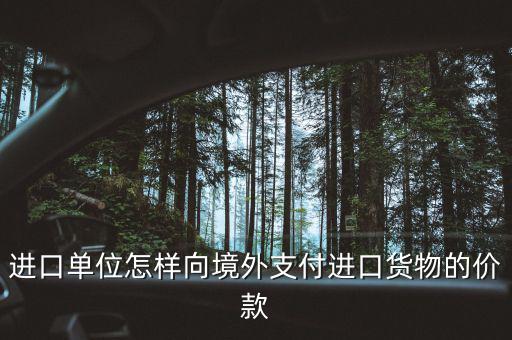 企業(yè)如何境外付款嗎，進(jìn)口單位怎樣向境外支付進(jìn)口貨物的價款