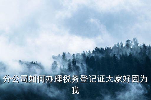 分公司如何辦理稅務(wù)登記，分公司如何辦理稅務(wù)登記證大家好因為我