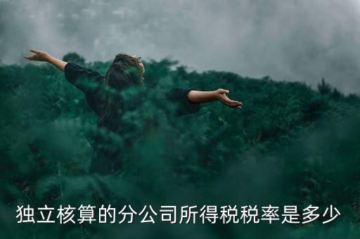 獨立核算的分公司如何納稅，誰知道獨立核算的同城分公司如何繳稅