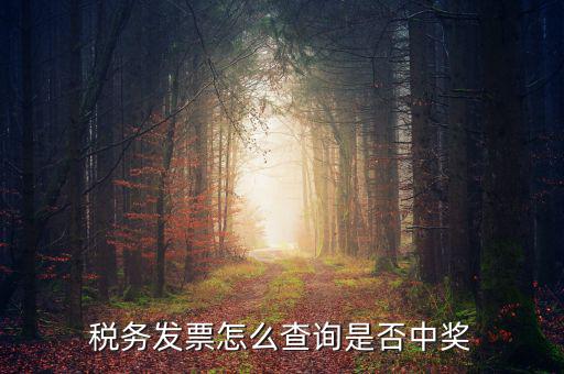 稅務(wù)發(fā)票怎么查詢是否中獎