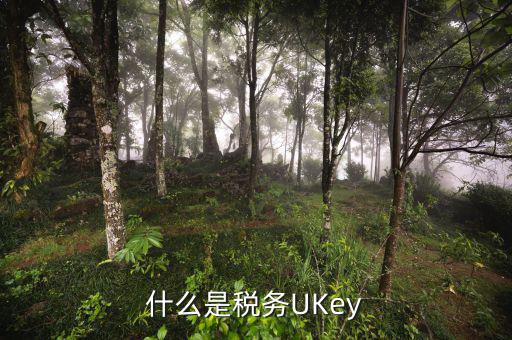 稅務(wù)局ukey是什么，什么是稅務(wù)UKey