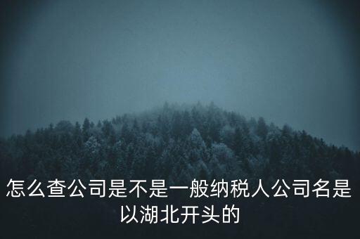 如何查詢企業(yè)是否是一般納稅人，怎么查公司是不是一般納稅人公司名是以湖北開頭的