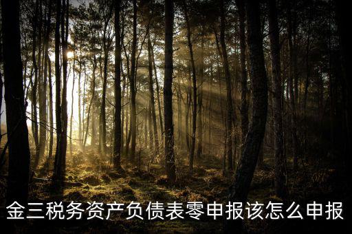 金稅三期如何零申報，金三稅務系統(tǒng)零申報需要報什么