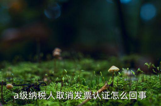 a級納稅人取消發(fā)票認證怎么回事