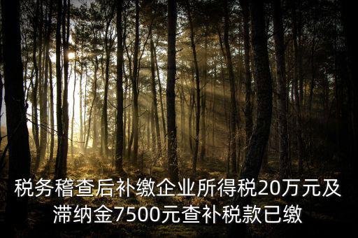 稅務稽查后補繳企業(yè)所得稅20萬元及滯納金7500元查補稅款已繳