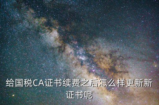 給國稅CA證書續(xù)費(fèi)之后怎么樣更新新證書呢