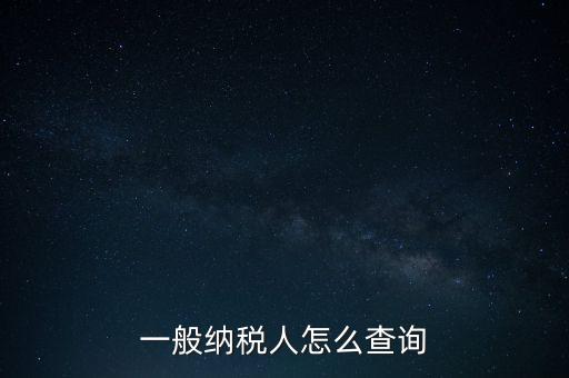 一般納稅人怎么查詢(xún)