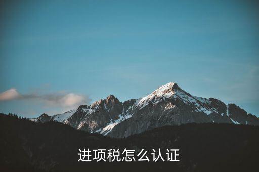 進(jìn)項(xiàng)稅怎么認(rèn)證