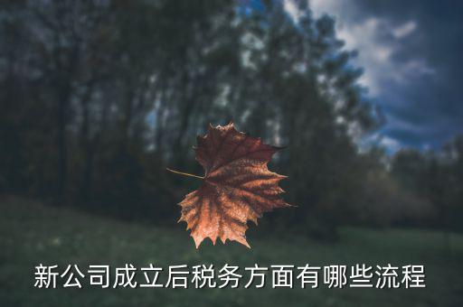 新辦公司如何進(jìn)行稅務(wù)登記補(bǔ)錄，新公司成立后稅務(wù)方面有哪些流程