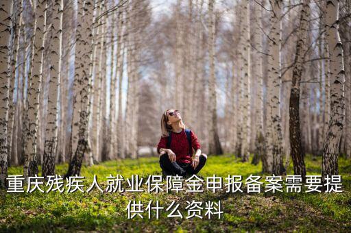 重慶殘疾人就業(yè)保障金申報(bào)備案需要提供什么資料