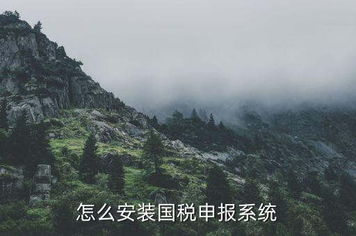 怎么安裝國稅申報系統(tǒng)