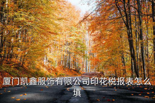 廈門凱鑫服飾有限公司印花稅報(bào)表怎么填