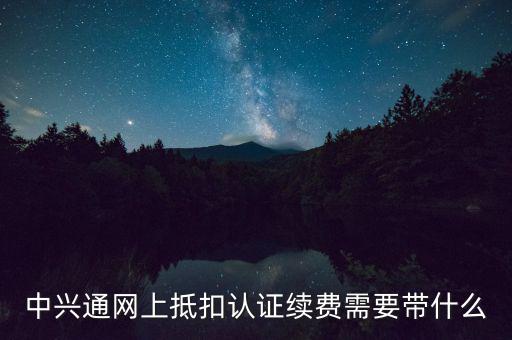 中興通網(wǎng)上抵扣認(rèn)證續(xù)費(fèi)需要帶什么