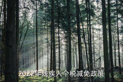 2022年殘疾人個(gè)稅減免政策