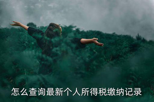 怎么查詢最新個人所得稅繳納記錄