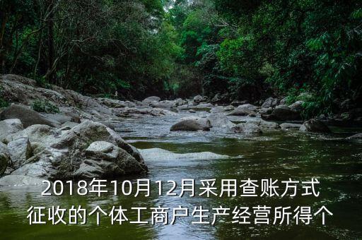 2018年10月12月采用查賬方式征收的個(gè)體工商戶生產(chǎn)經(jīng)營所得個(gè)