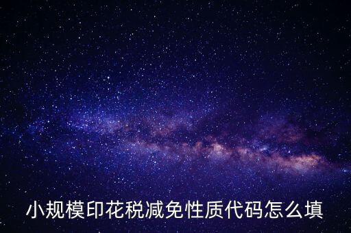 印花稅減免額 如何填寫，六稅兩費印花稅減半怎么申報