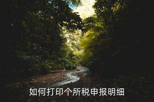 如何打印個(gè)所稅申報(bào)明細(xì)