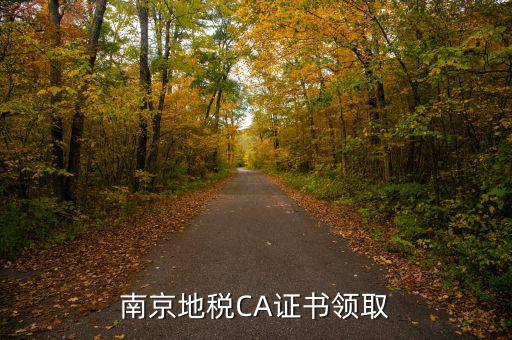 南京地稅CA證書領(lǐng)取