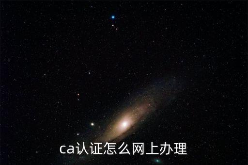 ca認(rèn)證怎么網(wǎng)上辦理