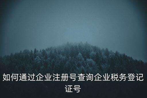 如何查詢公司稅務(wù)編號查詢系統(tǒng)，公司的稅務(wù)登記證號怎么查詢