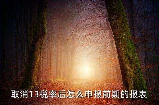 取消13稅率申報(bào)表如何填，13的稅率沒(méi)了納稅申報(bào)以后怎么辦