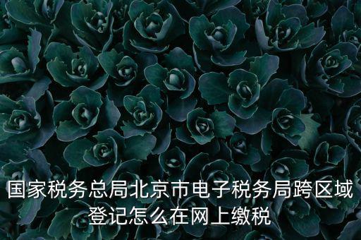 國(guó)家稅務(wù)總局北京市電子稅務(wù)局跨區(qū)域登記怎么在網(wǎng)上繳稅