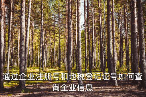 企業(yè)稅務信息如何查詢，通過企業(yè)注冊號和地稅登記證號如何查詢企業(yè)信息