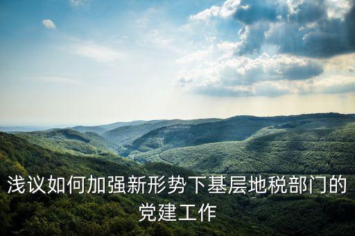 國地稅改革如何做好基層工作，淺議如何加強新形勢下基層地稅部門的黨建工作