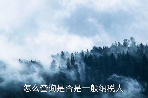 怎么查詢(xún)是否是一般納稅人