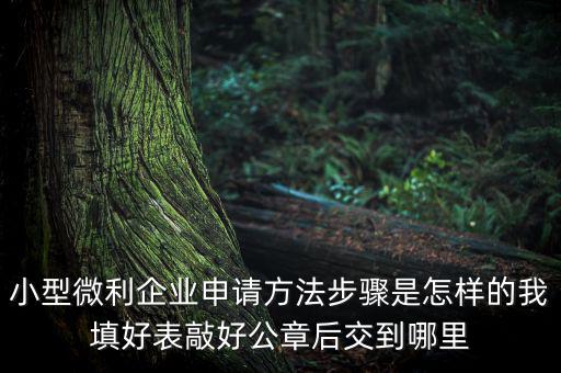 小型微利企業(yè)申請方法步驟是怎樣的我填好表敲好公章后交到哪里