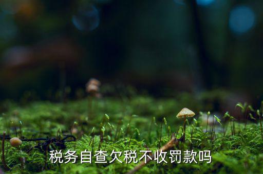 欠稅人員如何查詢，稅務(wù)自查欠稅不收罰款嗎