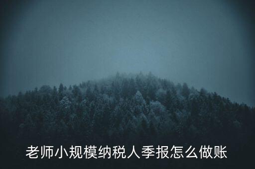 老師小規(guī)模納稅人季報(bào)怎么做賬