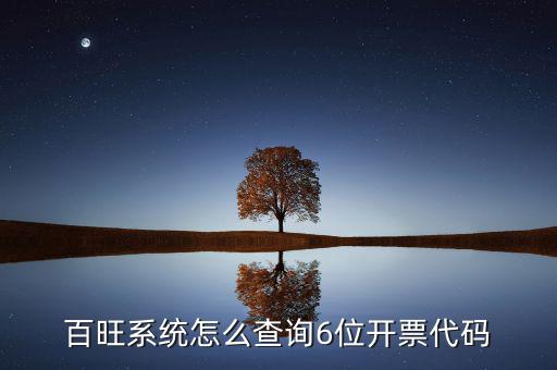 如何獲取開票代碼，增值稅專用發(fā)票開票時輸開票碼是怎么操作