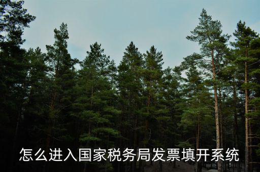 怎么進入國家稅務局發(fā)票填開系統(tǒng)