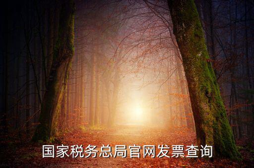 江蘇國稅如何查詢發(fā)票，江蘇發(fā)票真?zhèn)尾樵內(nèi)绾尾樵兘K發(fā)票真?zhèn)尾樵內(nèi)绾尾樵冏钪匾氖沁M